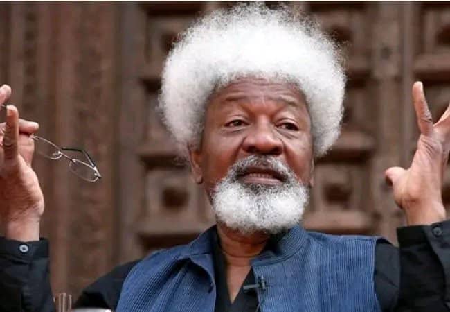 Soyinka Tells US President the Real Problem