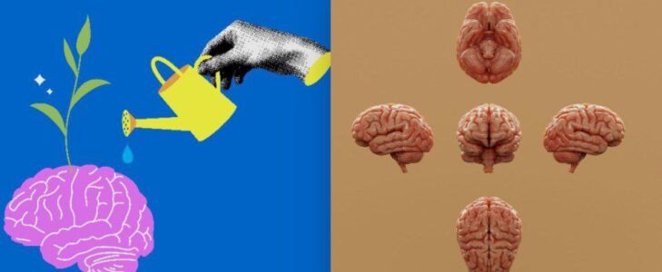 Here Are 5 Morning Habits I Gave Up Because They Harm the Brain