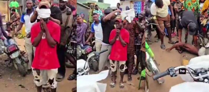 What's your opinion on this